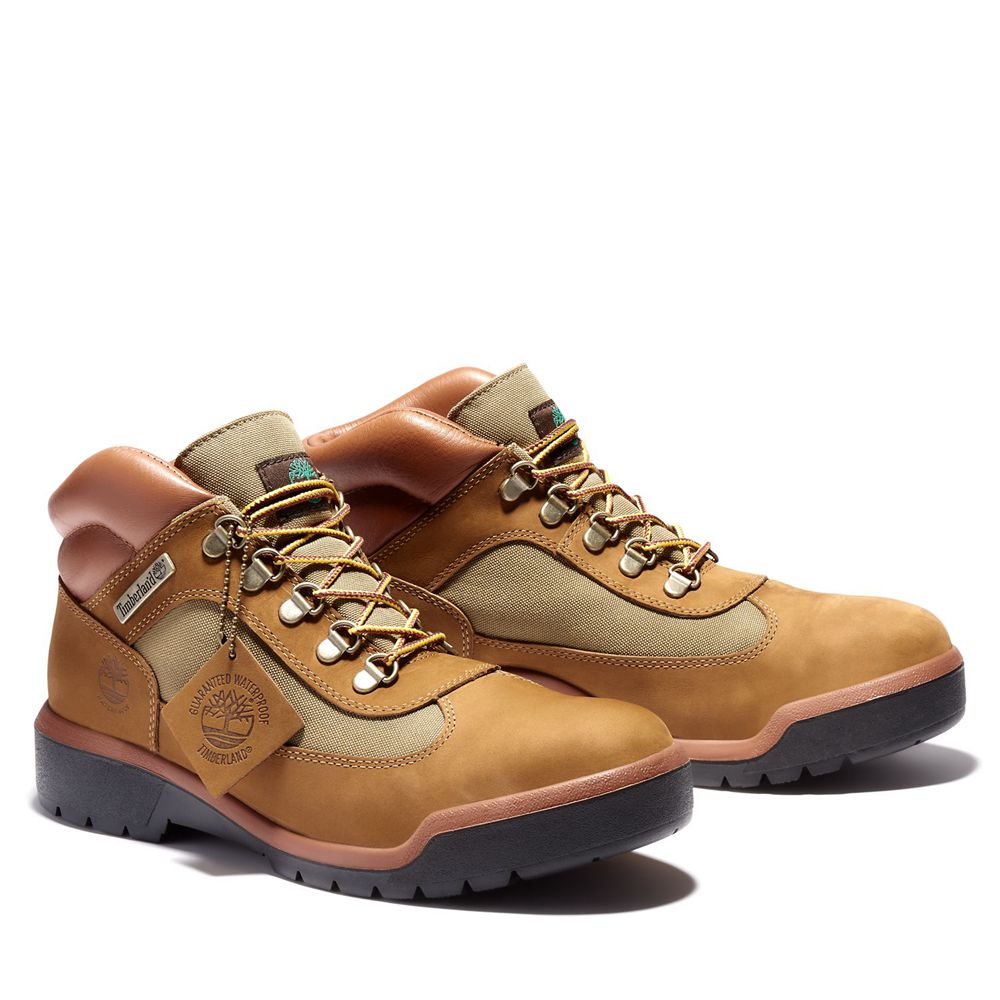 Tenisi Timberland Barbati Maro - Waterproof Field Boots - Romania - QSAWUG132